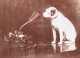 Doc : His Masters Voice - Nipper